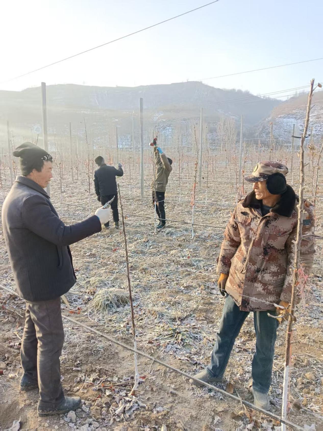 5a8ee1c9b615d0fdb423569b98743681