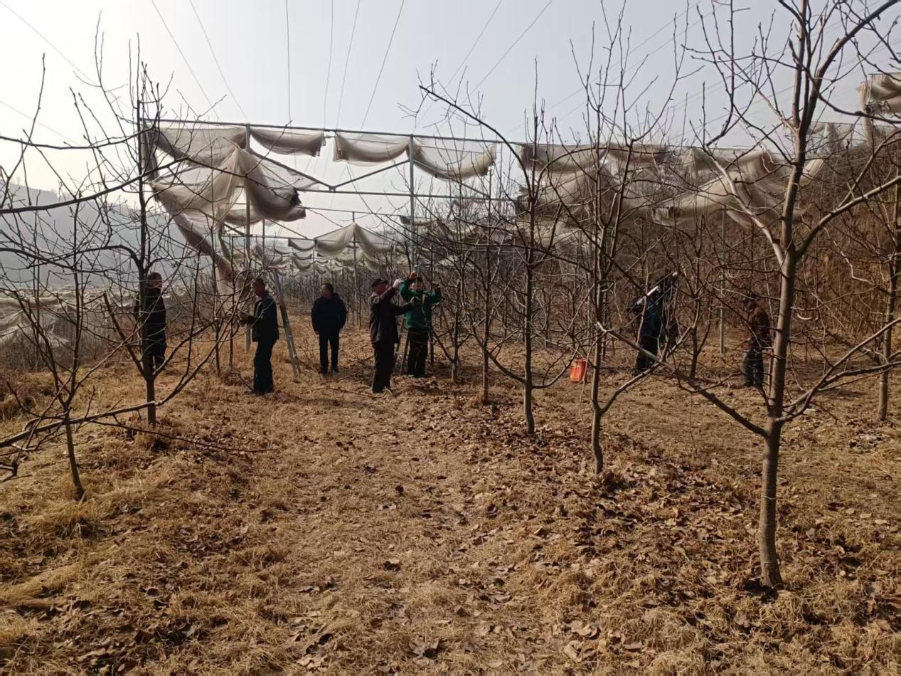 926547ac4579b6c2566aa05753963209