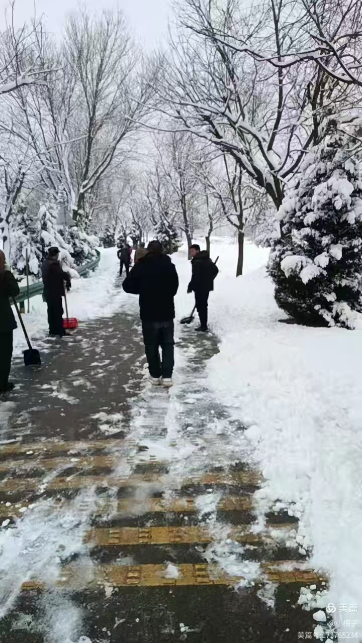 976635675c4b5ee47eba22befa9eeaf6