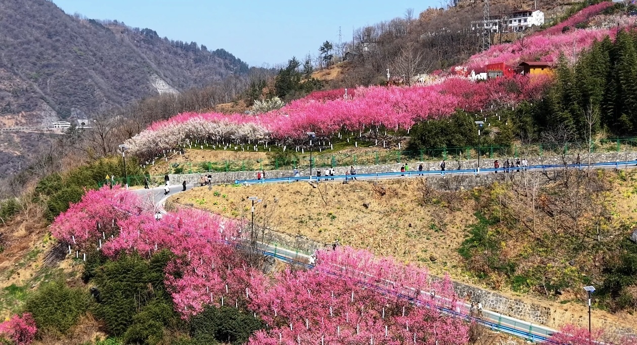 微信圖片_20260220134700_37_110