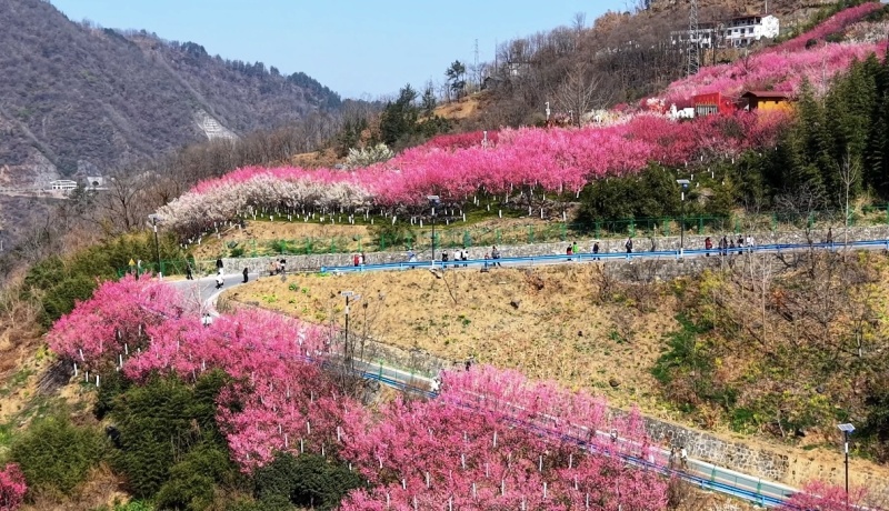 微信图片_20260220134700_37_110