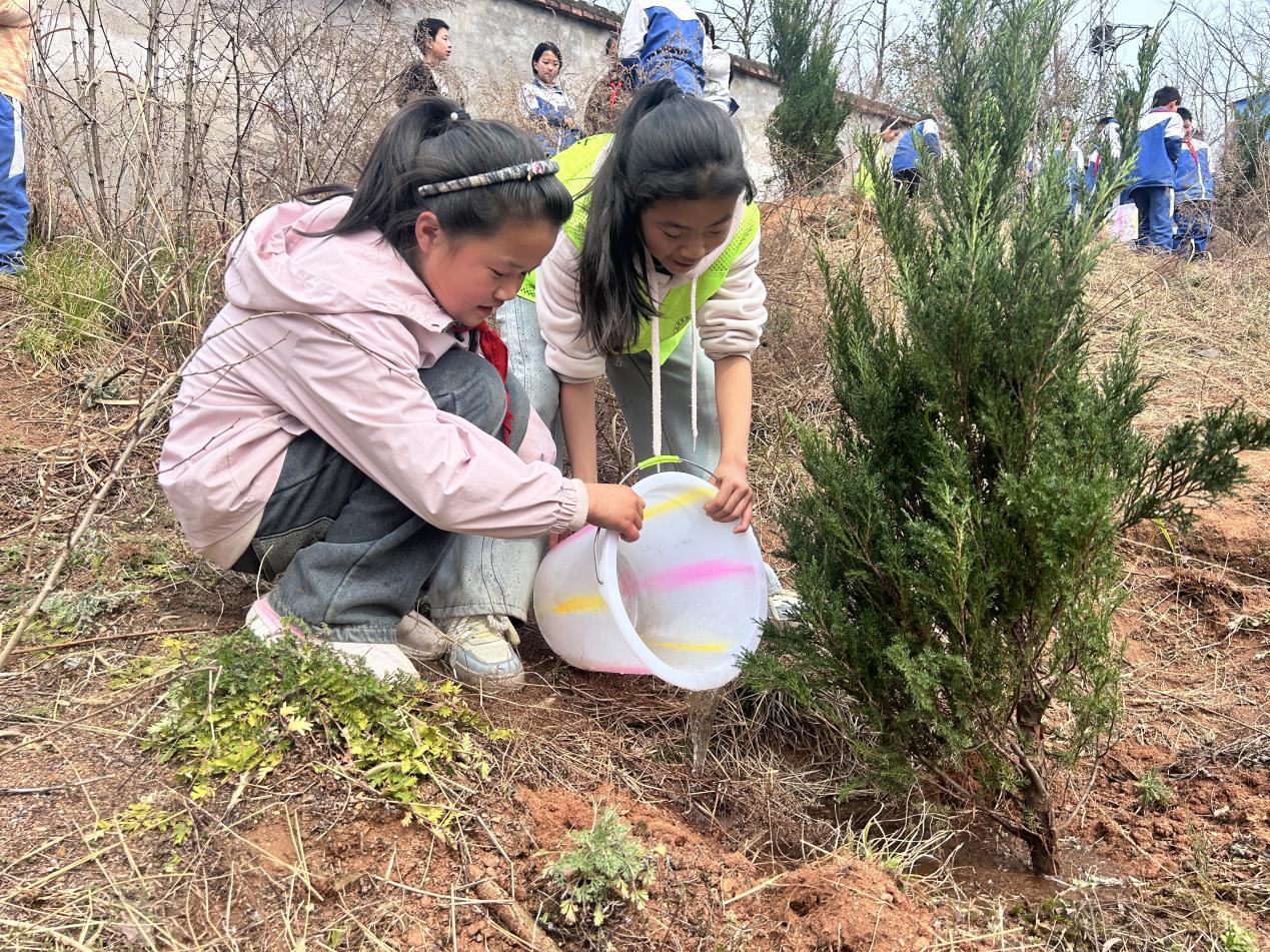 300b7c20-4971-4f6c-9687-d6d44847f4af