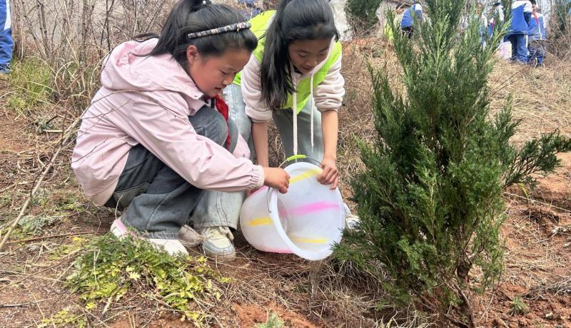 300b7c20-4971-4f6c-9687-d6d44847f4af