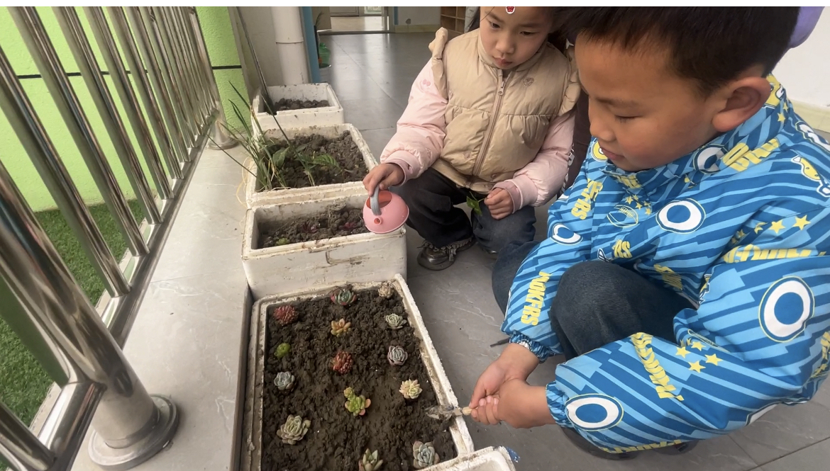 339e2af6812047b0266f2740b6186fb1