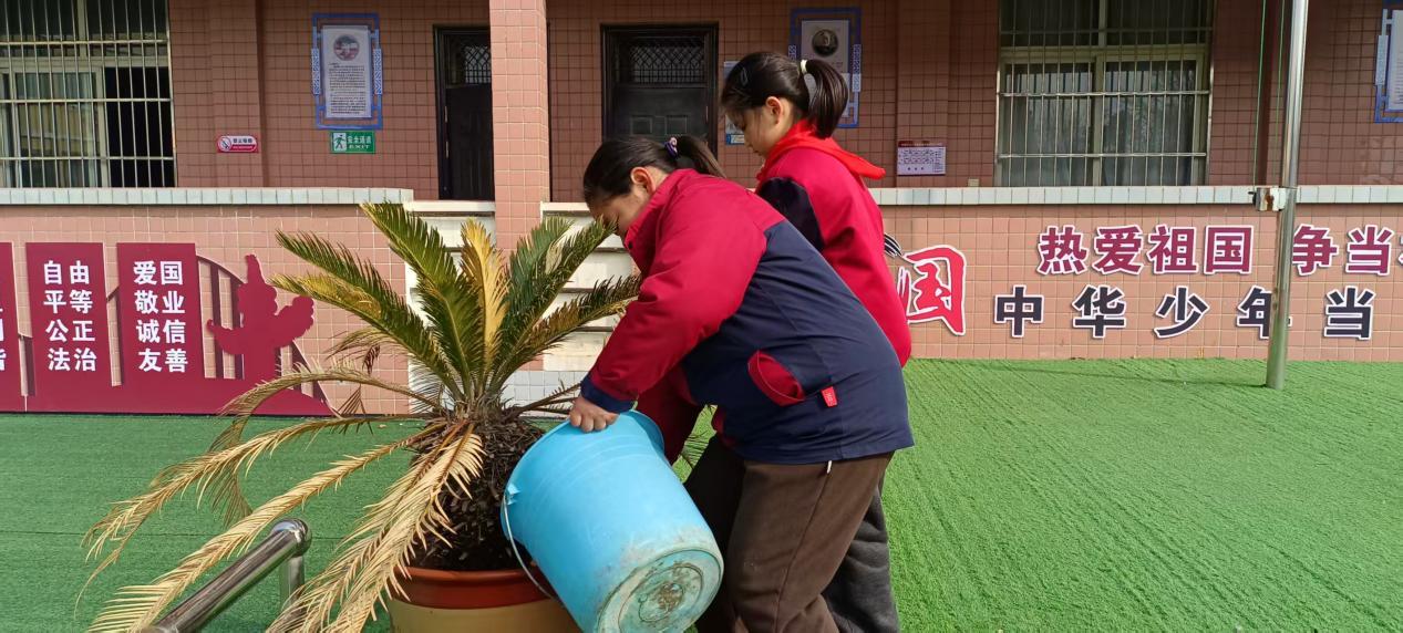 三原县西阳镇武官中心小学开展植树节绿化美化活动 (2)