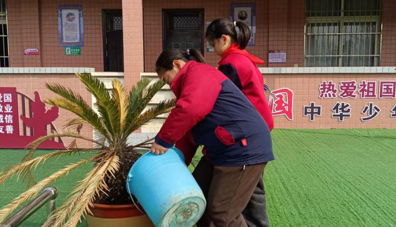三原县西阳镇武官中心小学开展植树节绿化美化活动 (2)