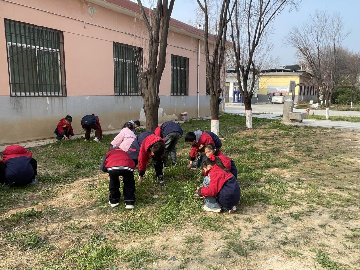 三原县西阳镇武官中心小学开展植树节绿化美化活动 (1)