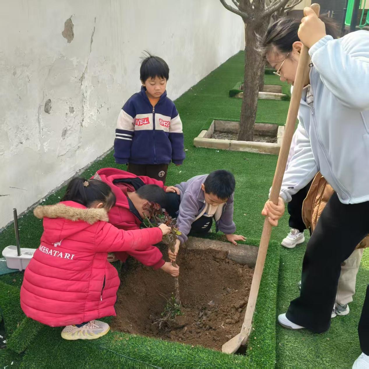 三原县西阳镇武官中心小学开展植树节绿化美化活动 (6)