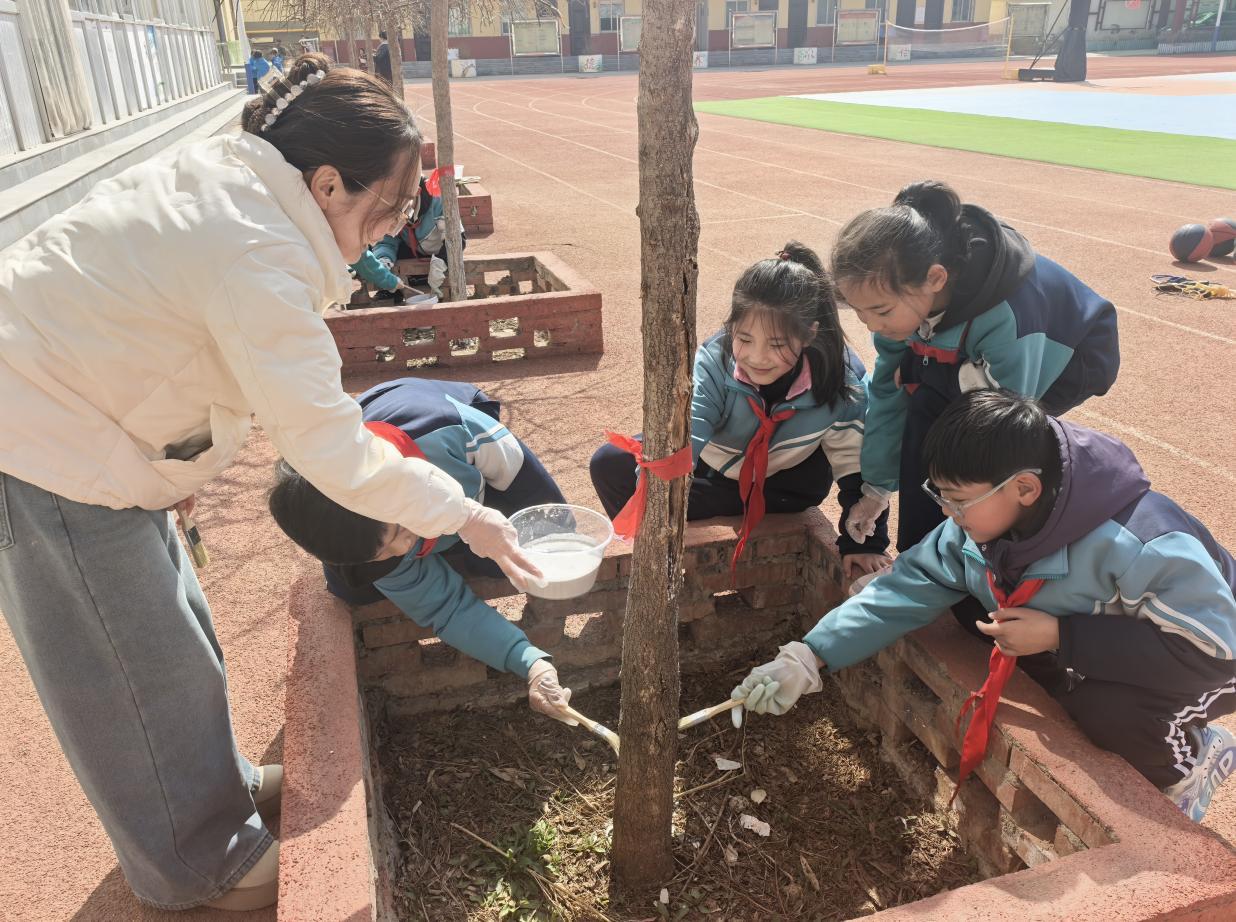 2a3adbbc39fd16cf77887ddf749e45b