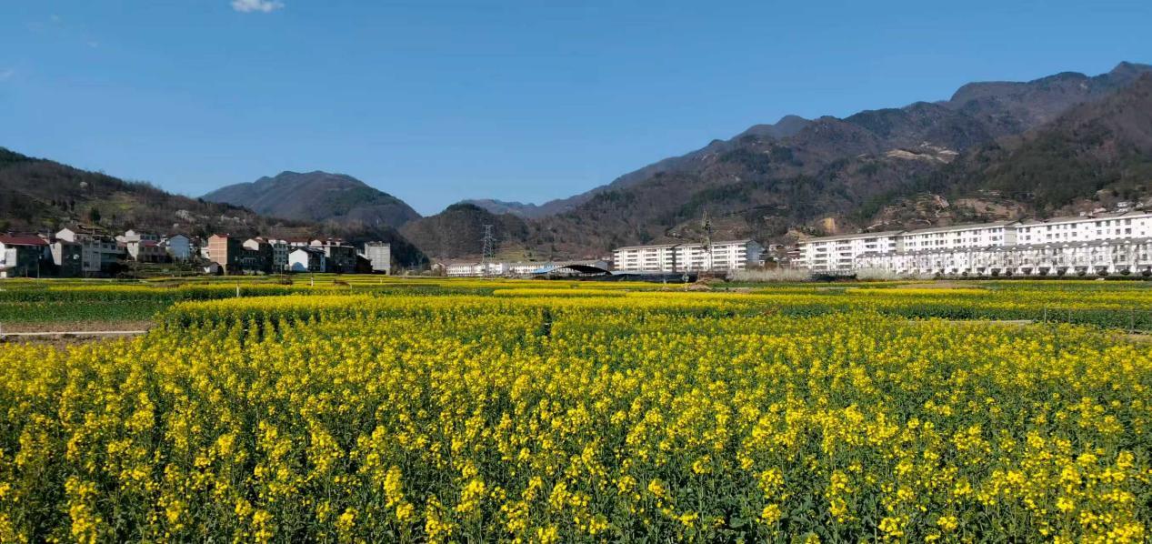 9c6a69803b66a5efd6bdaeee9092352c