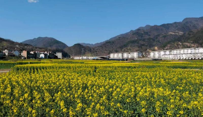 9c6a69803b66a5efd6bdaeee9092352c