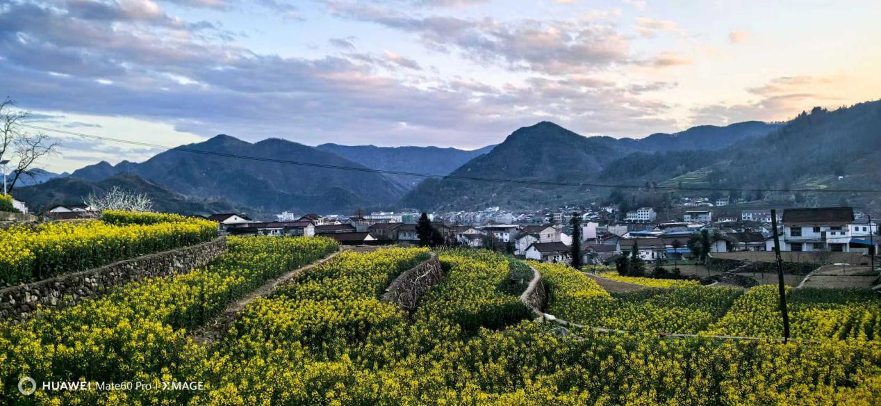 d5e0c4304362dfb80bdb7e25542d0d5a