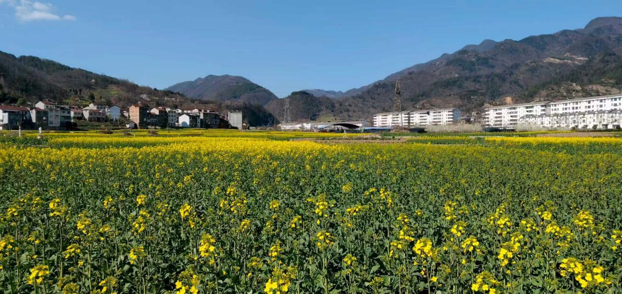 bbf946d79ac26a9849ba38d2f7ec8c62