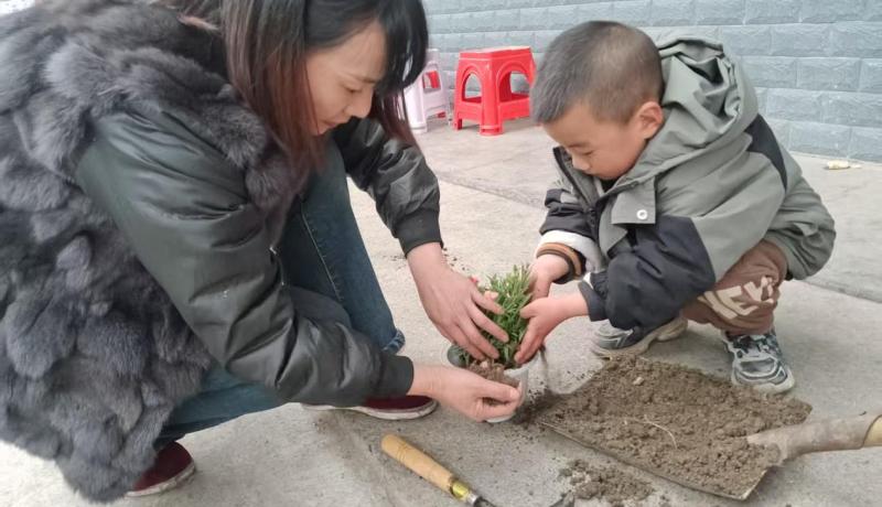 9e539a2a41df2d7e5ac74c218720118