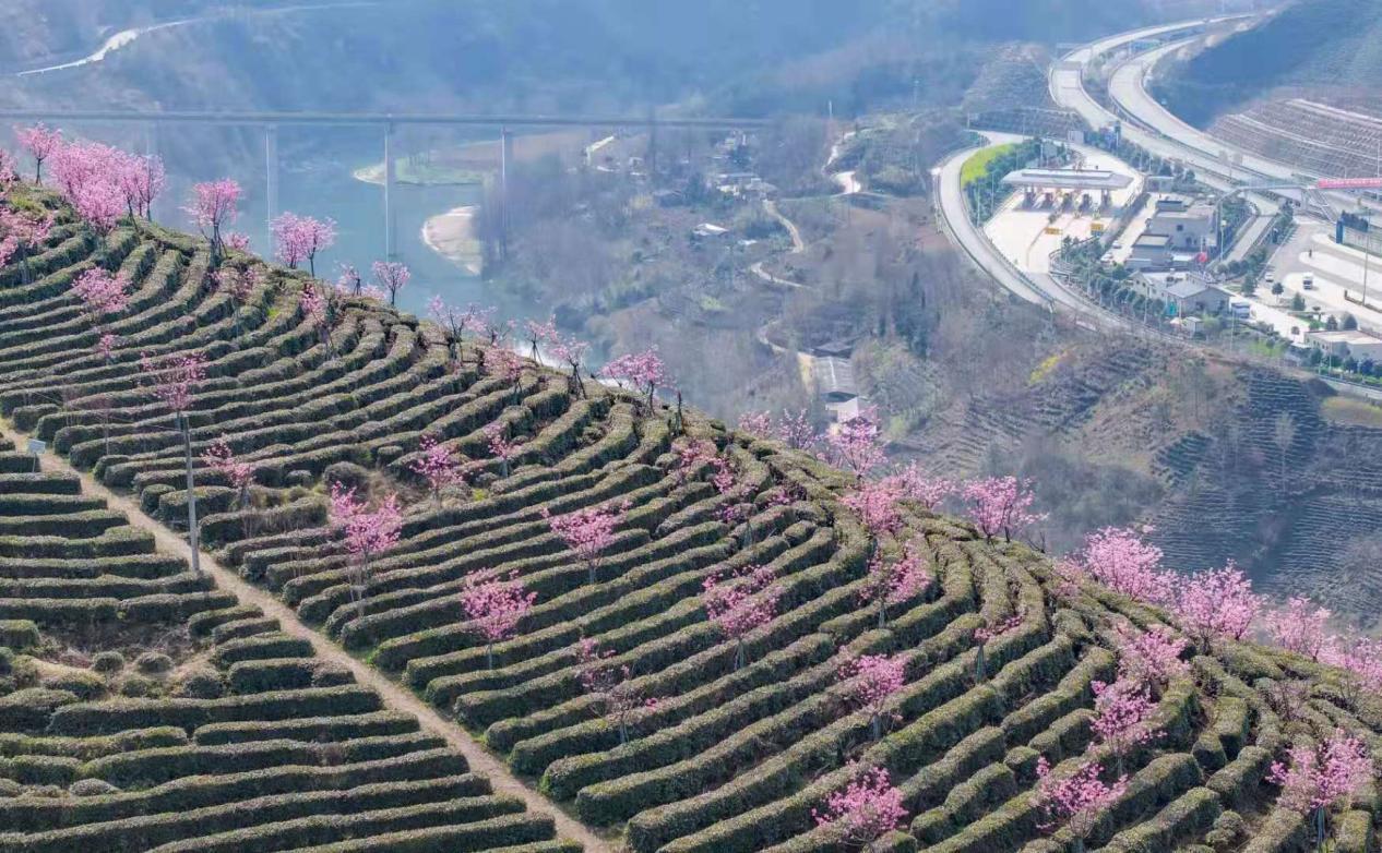 580ebe507f42bd9c660a318f48aea61a