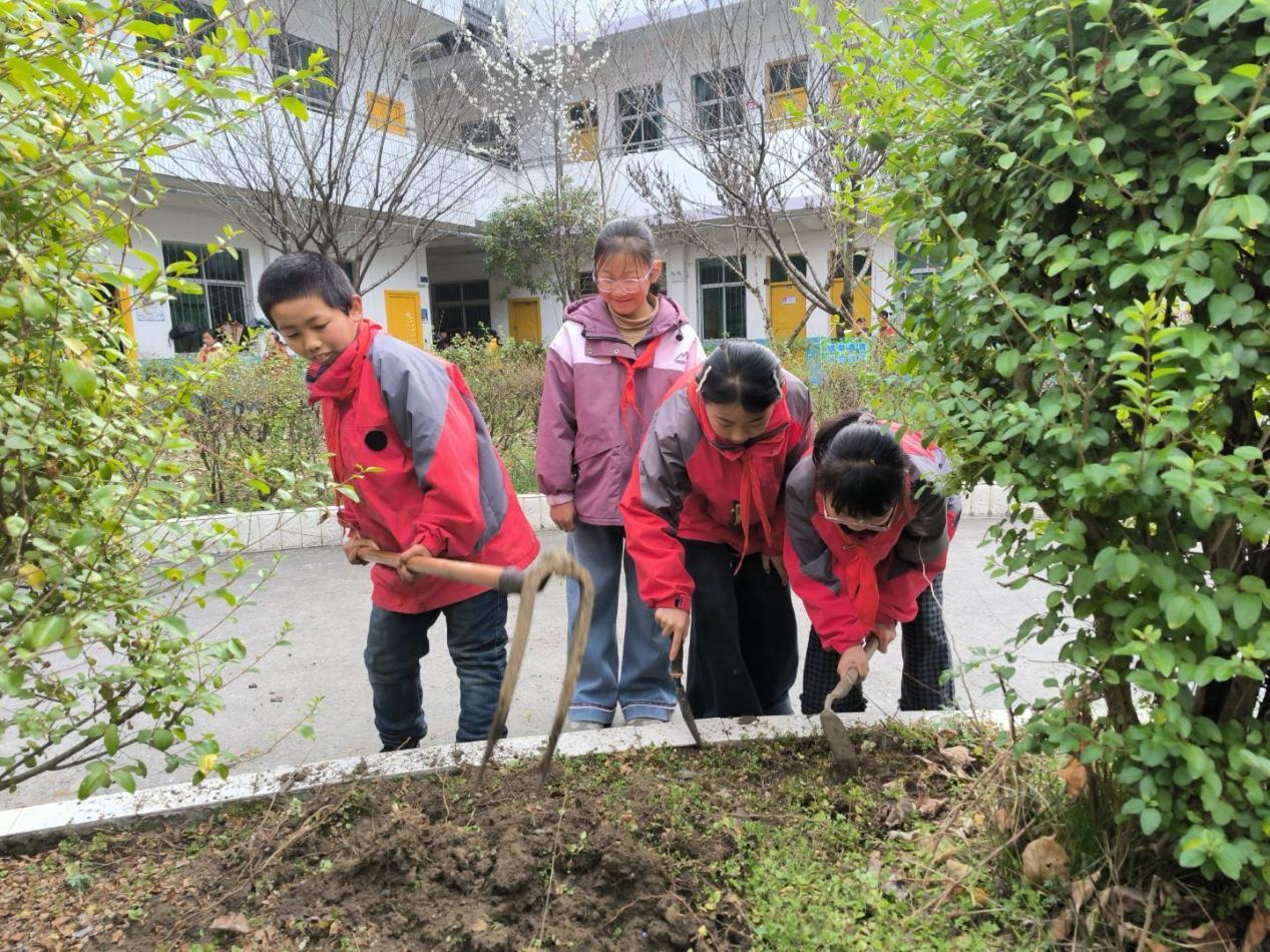 QQ图片20260316102043(2)