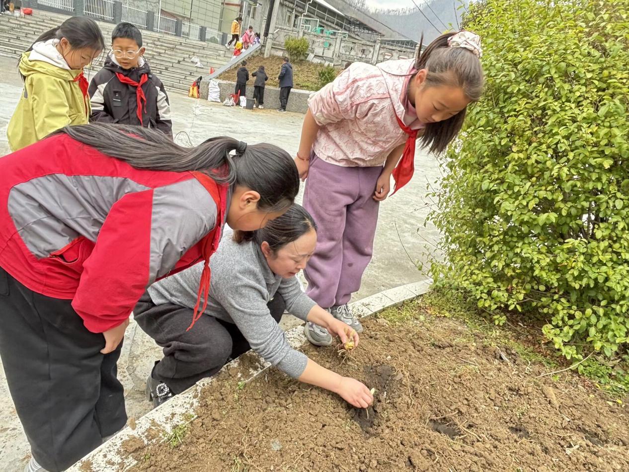 QQ图片20260316102253(5)