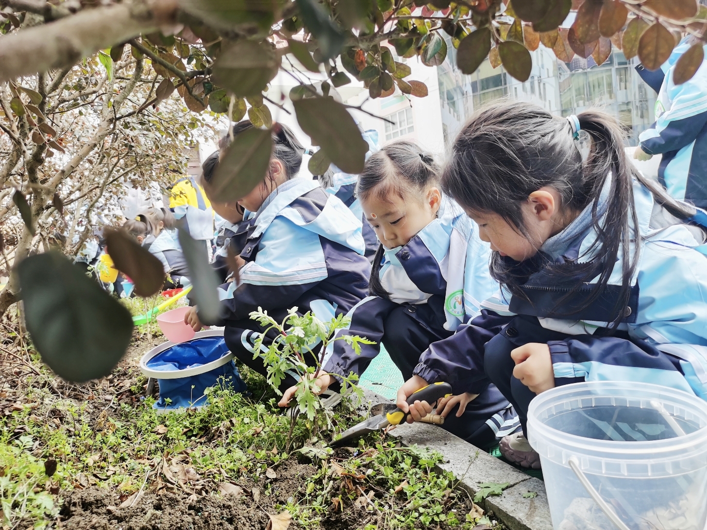 微信图片_20260317110135_133_110