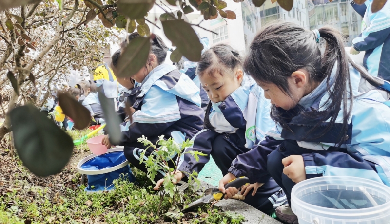 微信图片_20260317110135_133_110