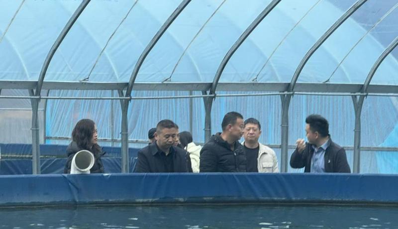 631ea4b843a457feea1f97686b6f3b8