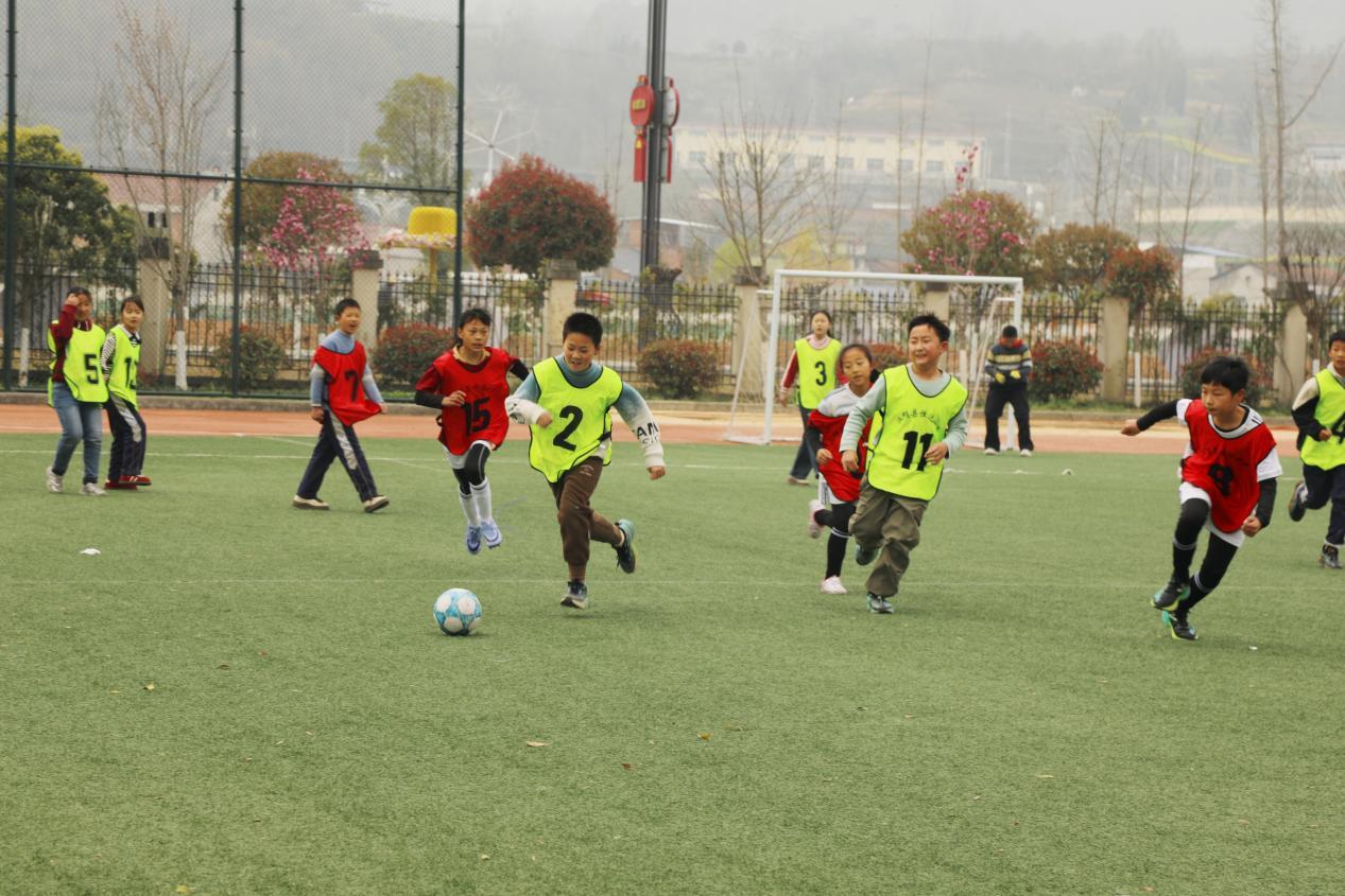 微信图片_20260318135804_1349_8