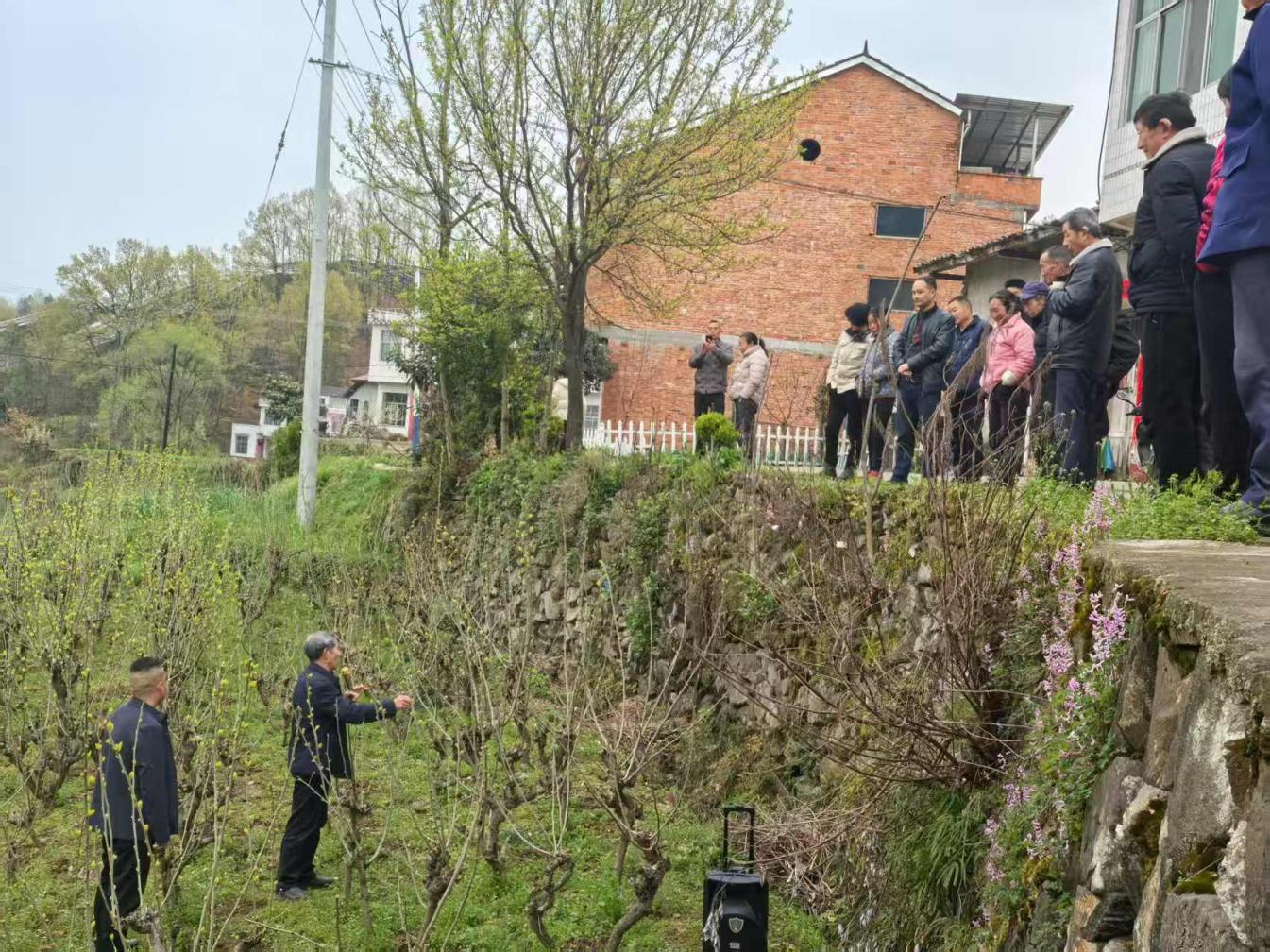 2238602195d7733700ff4aa5b841372a