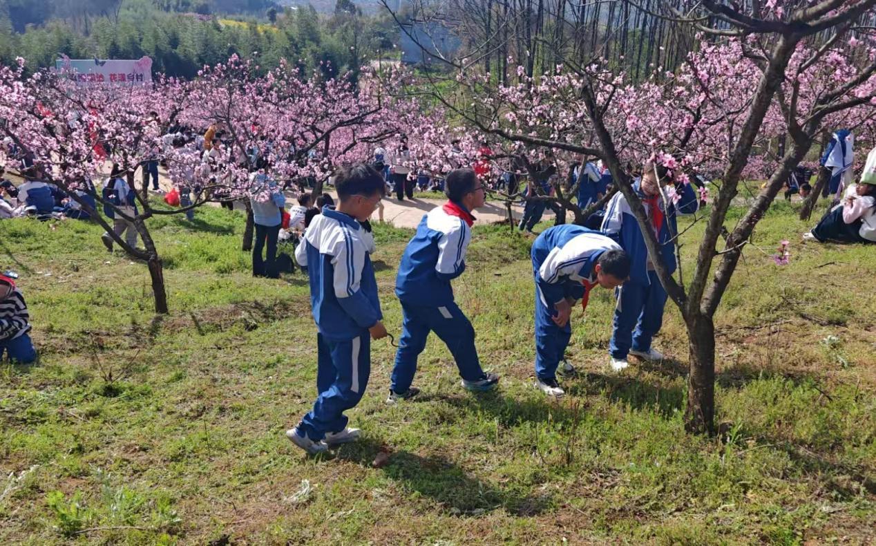 24619c75f41911434518ab1dee3cf7cb