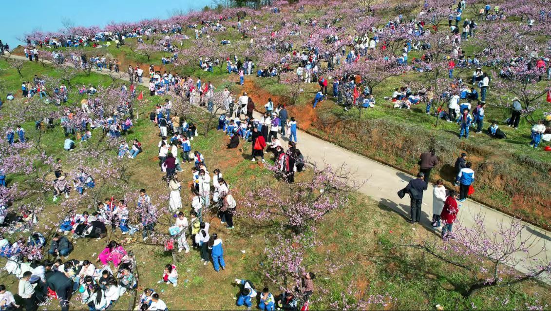 e3ef5e5b91a3fa537000dbcf8167405c