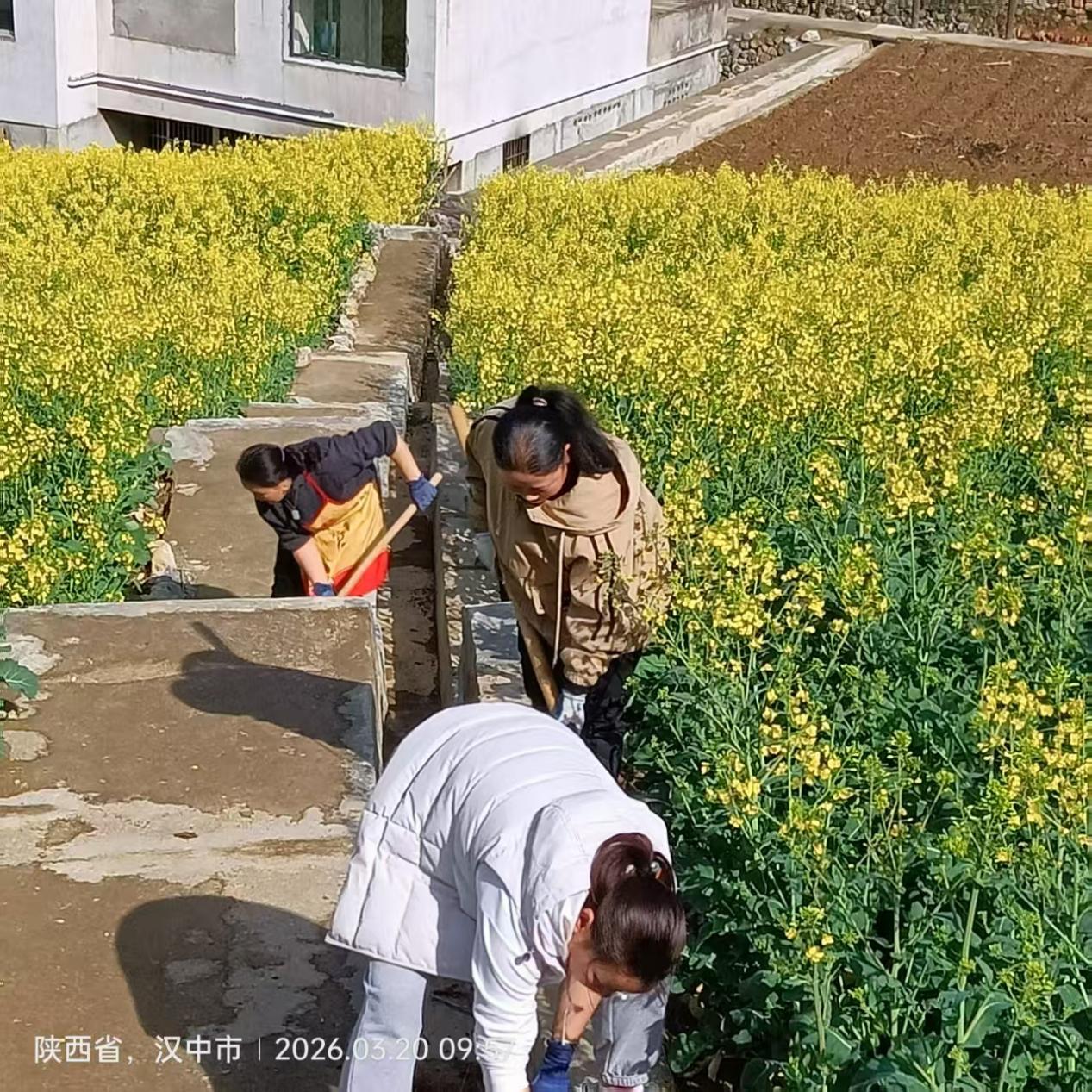 091cebe98051c52d996e5fad36d9fb53