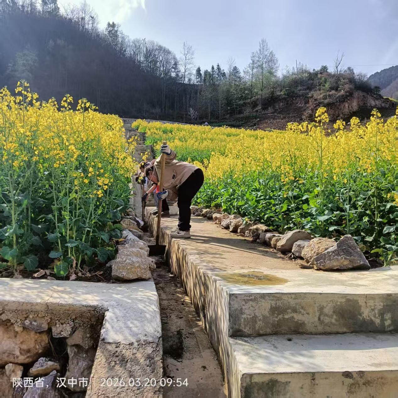 bed2fc884be0f7b8381d781d6aa3871f