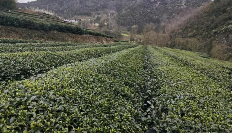 1dd2f05cb3e63ddd307571b7f29c258f