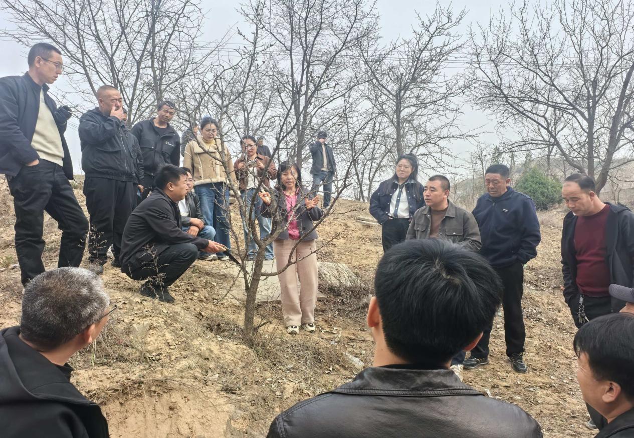 8a3fdef91034b746874c55b059070f3b