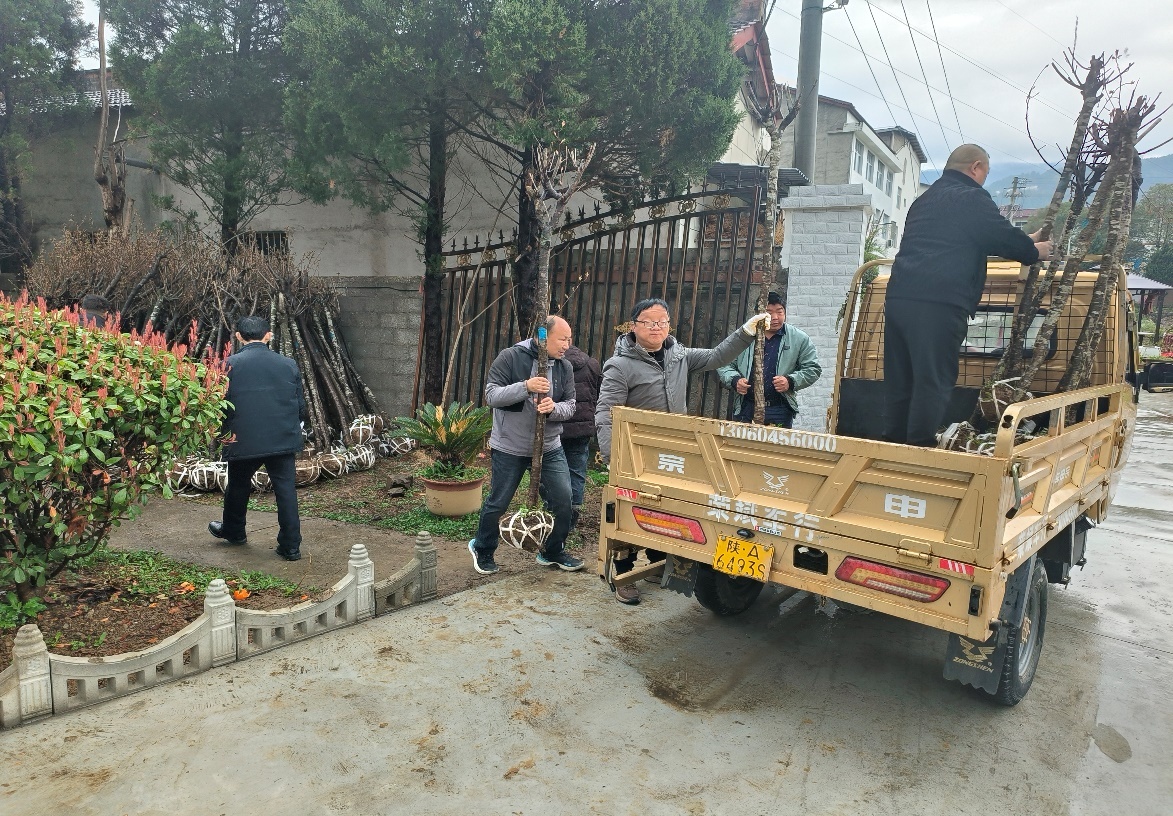 8db097322b9049af8cfe83ba8c6dc0c0