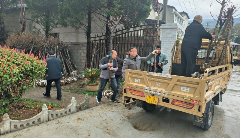 8db097322b9049af8cfe83ba8c6dc0c0