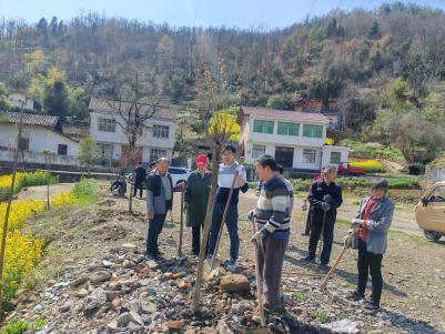 b4391fe196aafac942646acc58a382e7