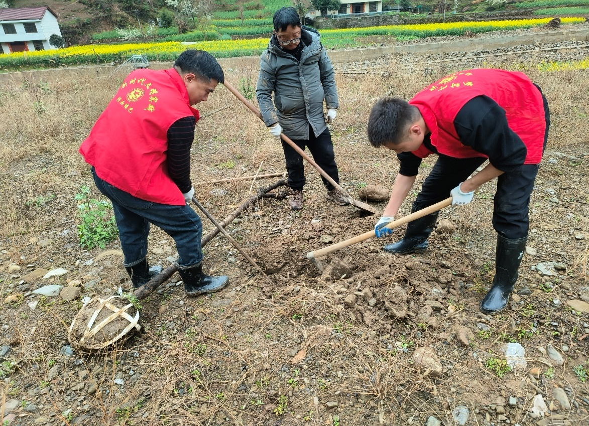 b4ae769fbffb7b38ba39f06e13bd7660