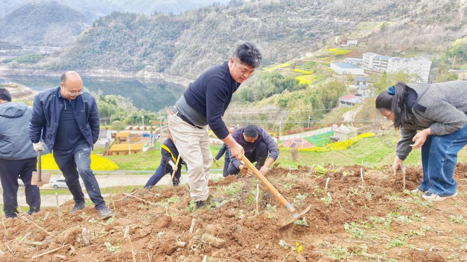 微信圖片_20260327115104_204_110