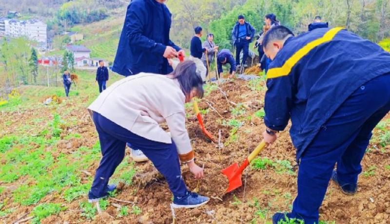 微信圖片_20260327123416_214_110