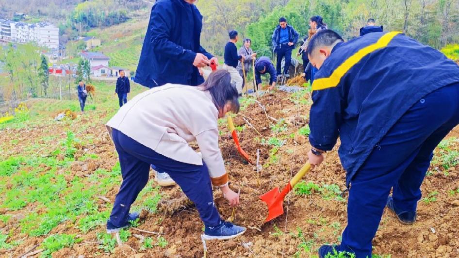 微信圖片_20260327123416_214_110