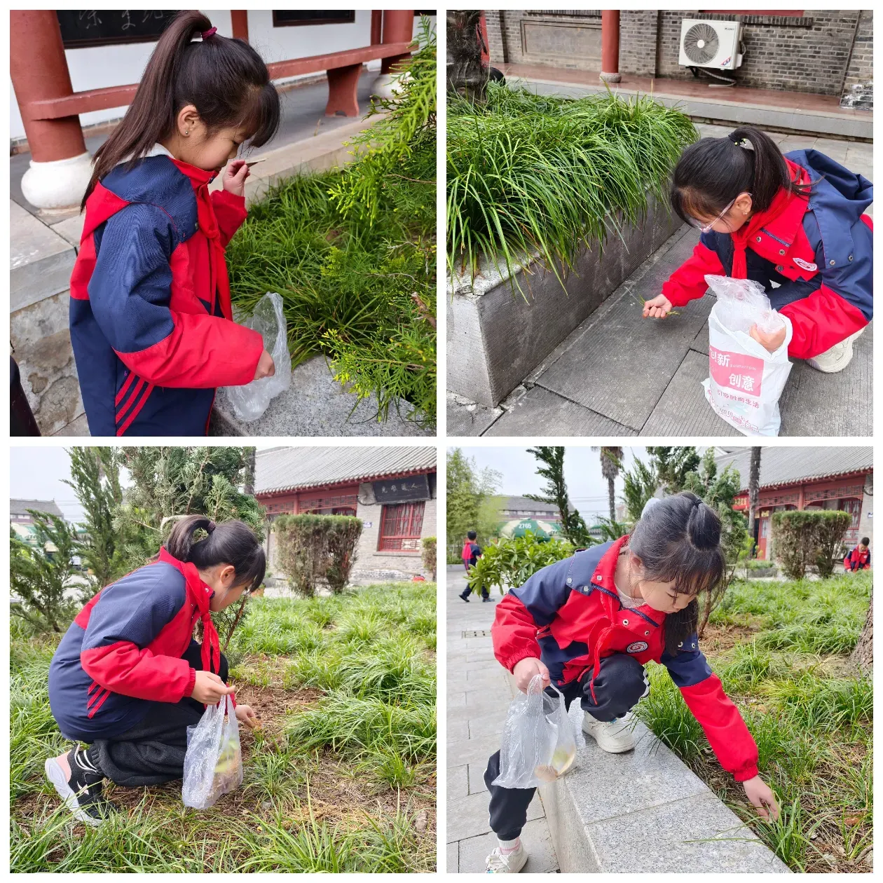 簡(jiǎn)篇-“緬懷先烈志 砥礪續(xù)華章”——龍駒中心小學(xué)黨支部2026年清明節(jié)祭掃實(shí)踐活動(dòng)