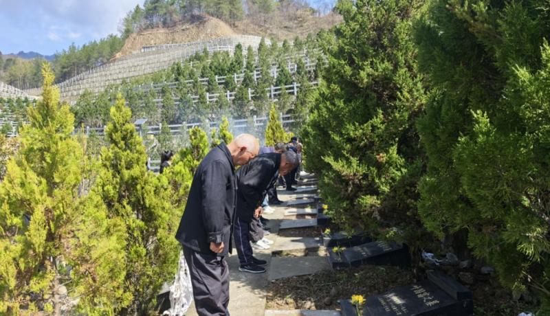 e5654fd8dc11ba2d5070c03f6d49d73