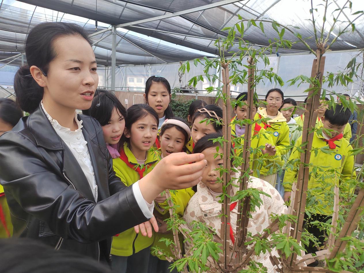 1e5645caf0ade7c528297d416cec1d2c