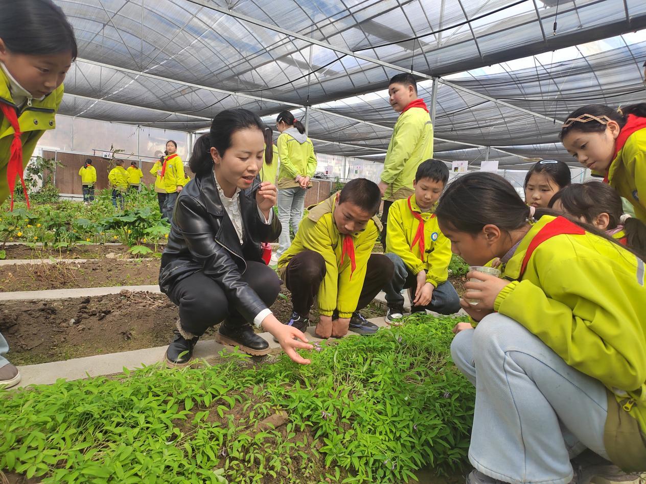 5c475e7343e884f54b67174dd6af6734