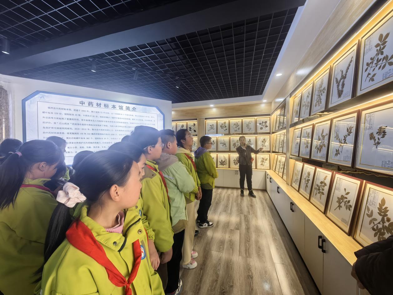 5d6ea7ec0a420af21742c61177040eec