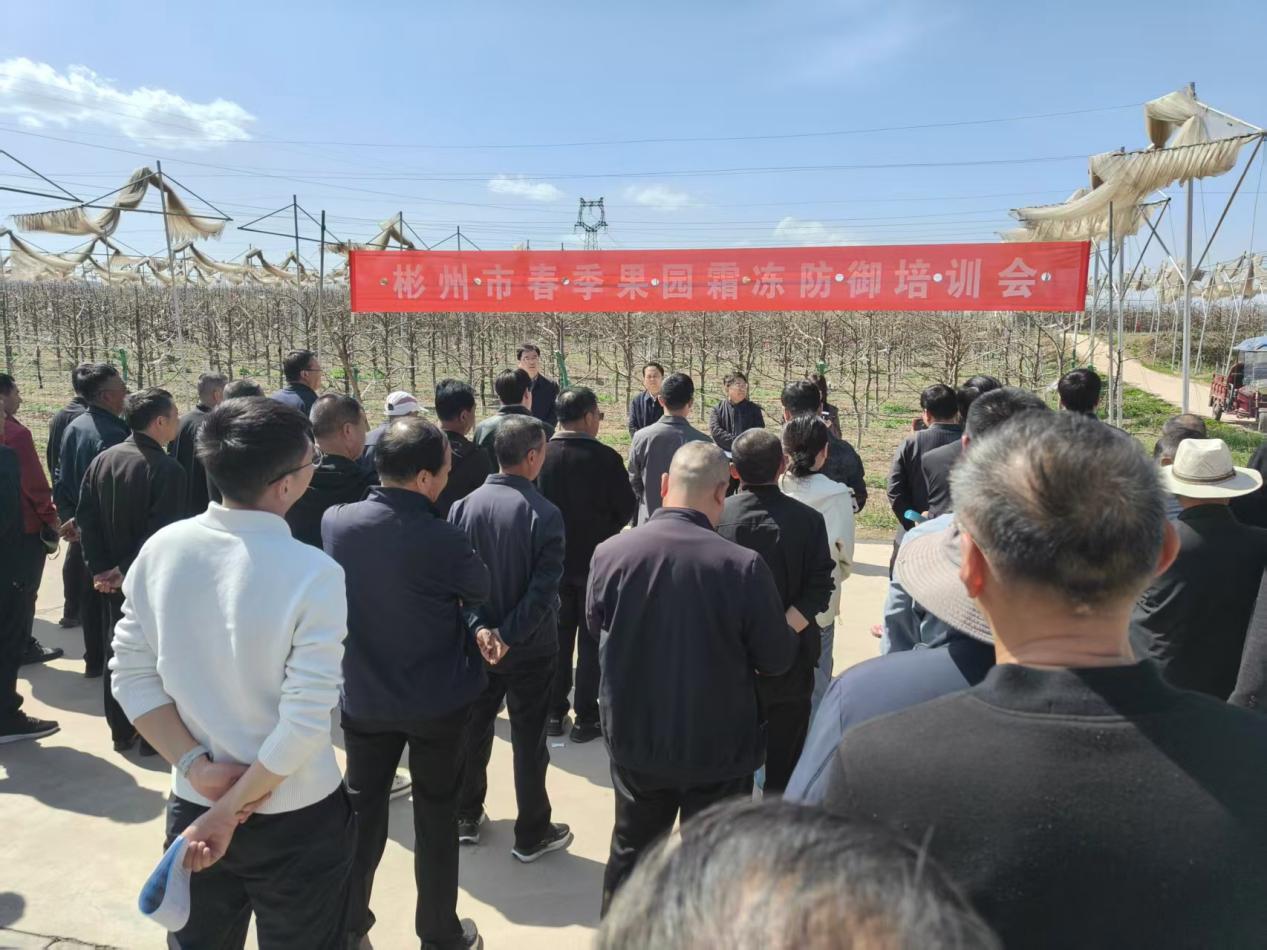 313fac38846694a575e70be0c4879a86