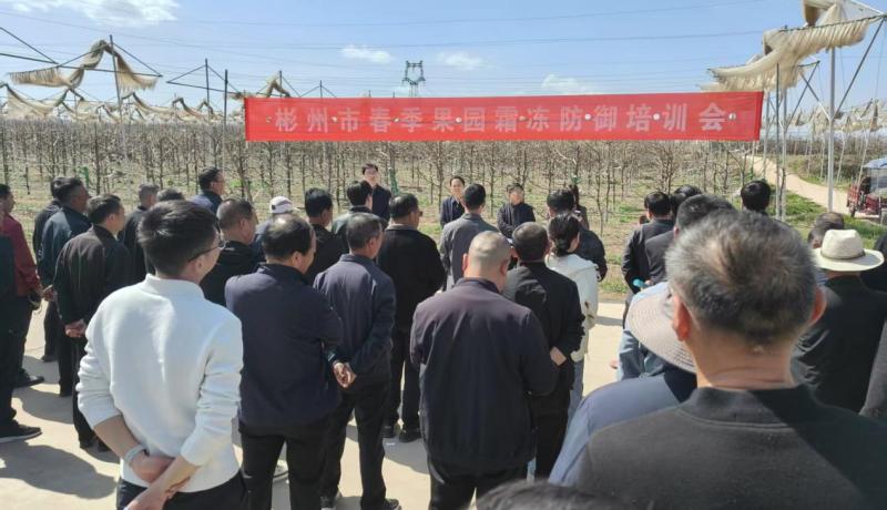 313fac38846694a575e70be0c4879a86