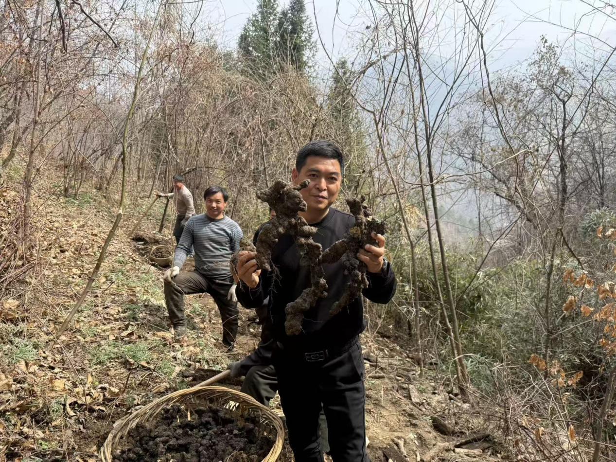 079e7960dca8d4a21f20496695f906e7