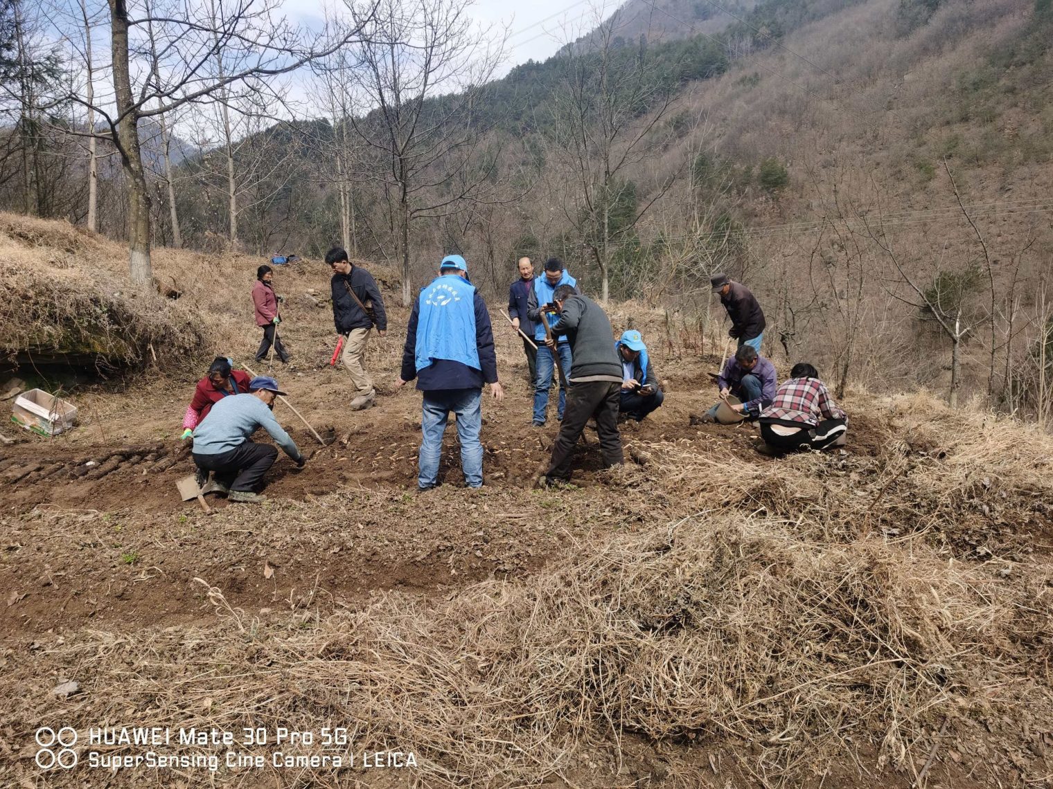 bc044f7b77257ef38cbaae53d0e7c2df