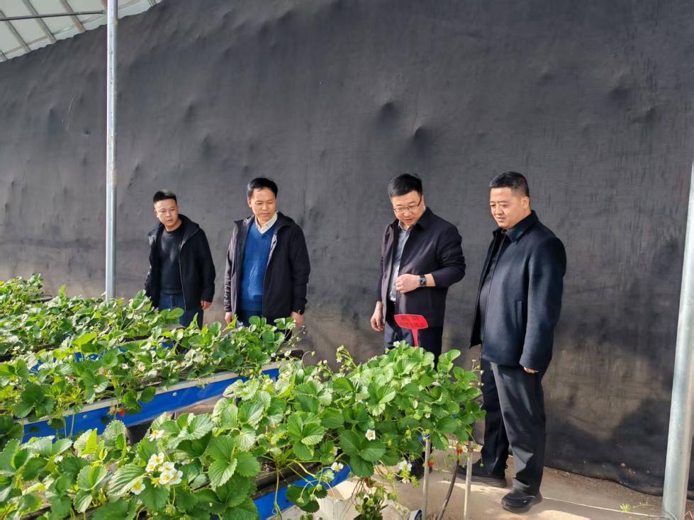 35aa49163d2415a9802ced9900b59902