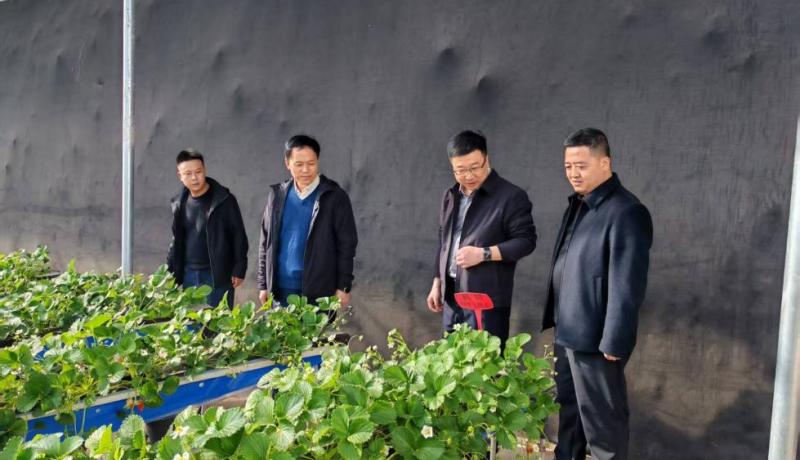 35aa49163d2415a9802ced9900b59902